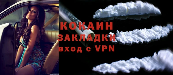 PSILOCYBIN Каменка
