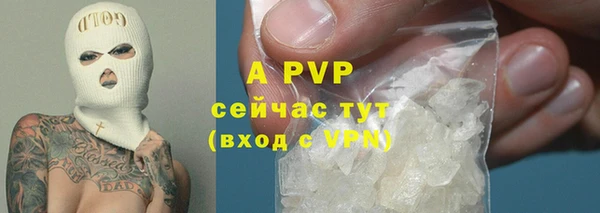 ALPHA PVP Каменногорск