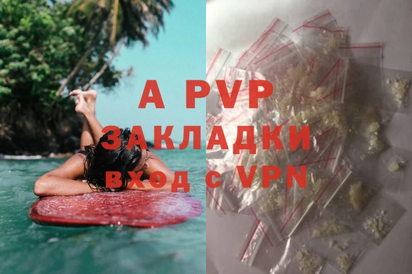 ALPHA PVP Каменногорск