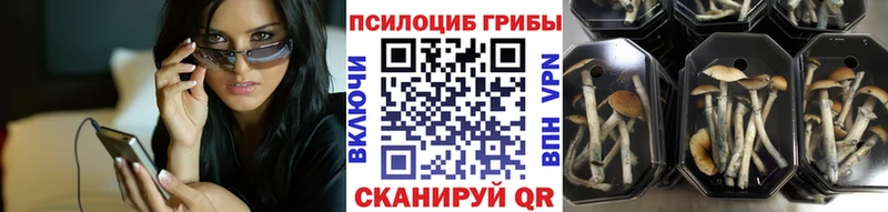 Купить закладки  Белорецк  Псилоцибиновые грибы Psilocybe 